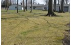 Property photo 39 - 3.4 Acres Offered in 2 Tracts - 3 Bedroom Ranch Home plus Additional Lot